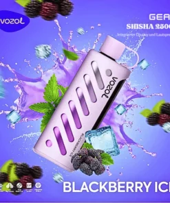 VOZOL GEAR Shisha 25K VAPE – Blackberry Ice | Premium Einweg-Vape mit 25.000 Zügen