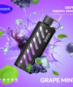 VOZOL GEAR Shisha 25000 Einweg Vape - Grape Mint