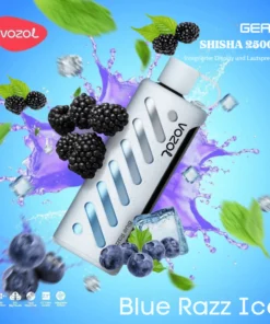 VOZOL GEAR Shisha 25000 Einweg Vape Blue Razz Ice Online Kaufen 