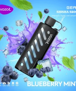 VOZOL VAPE Shisha 25000 Vape Einweg Vape Blueberry Mint