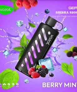 VOZOL GEAR Shisha 25000 Berry Mint Einweg Vape