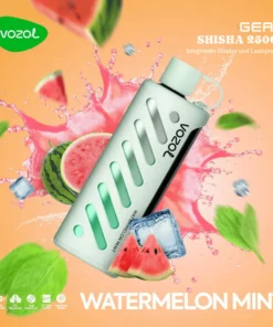 VOZOL GEAR Shisha 25000 Watermelon Mint Vape